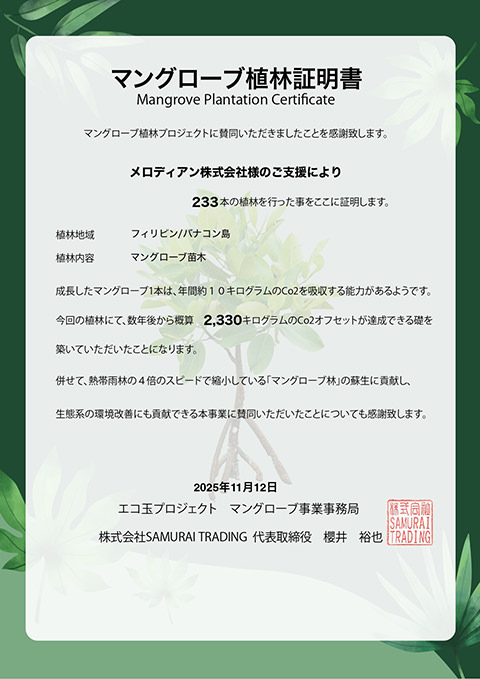 マングローブ223本の植林が行われた植林証明書