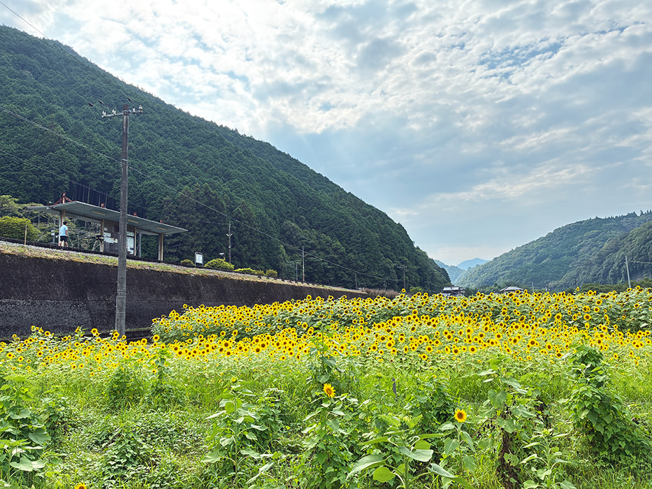 錦帯橋